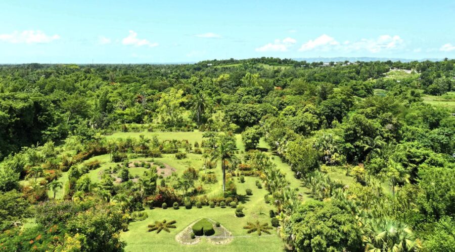 ANVIRONMENT / JISTIS : VANDALIS NAN JARDIN BOTANIQUE DES CAYES : MINISTÈ ANVIRONNMAN AN DEKLANCHE YON ENTÈVANSYON IJANT